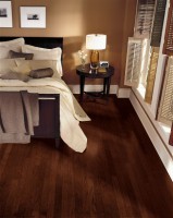 Molasses E3585