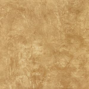 Color Wash Gold TP507