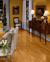 Butterscotch CB1526