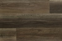 Bear Lake PAR1264PAD