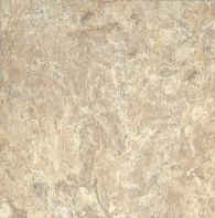 Beige Taupe D4132