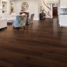salerno_room.jpg