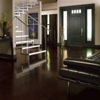 Cocoa Brown E3537