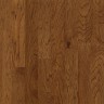 Falcon_Brown1.jpg