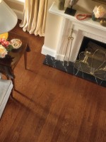 Golden Spice/Smokey Topaz EHK68LG