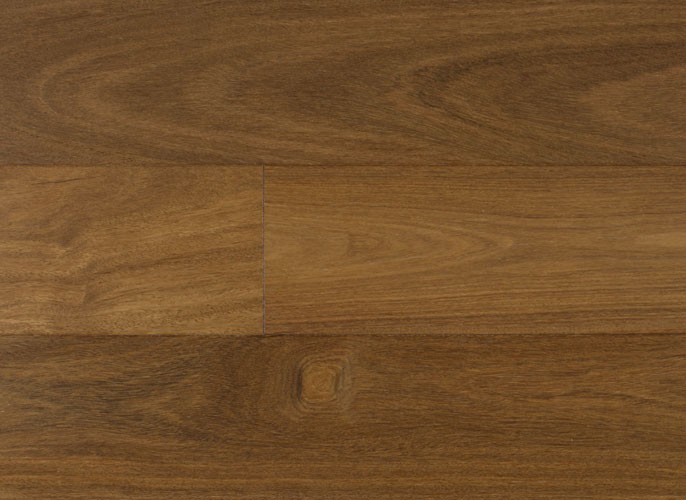 Brazilian Chestnut IPPFENGTC6