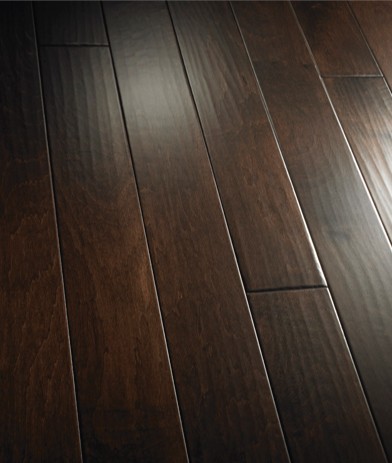 Venice Beach Maple PTVB904
