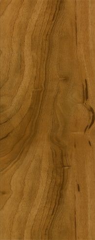 Exotic Fruitwood - Honey Spice A6891