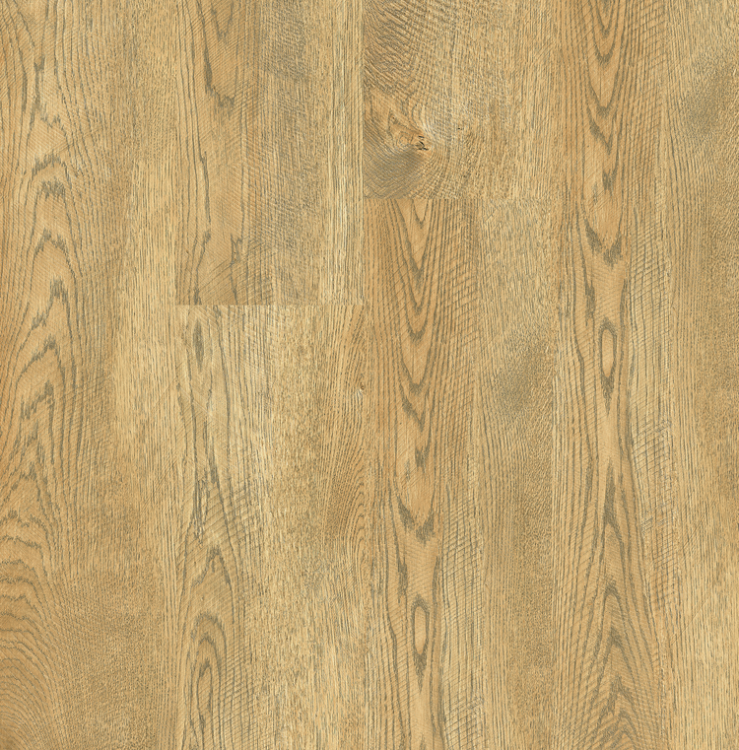 Ashwood FN-02