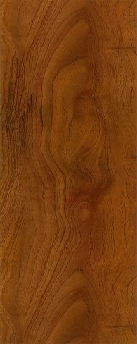 Exotic Fruitwood - Persimmon A6893