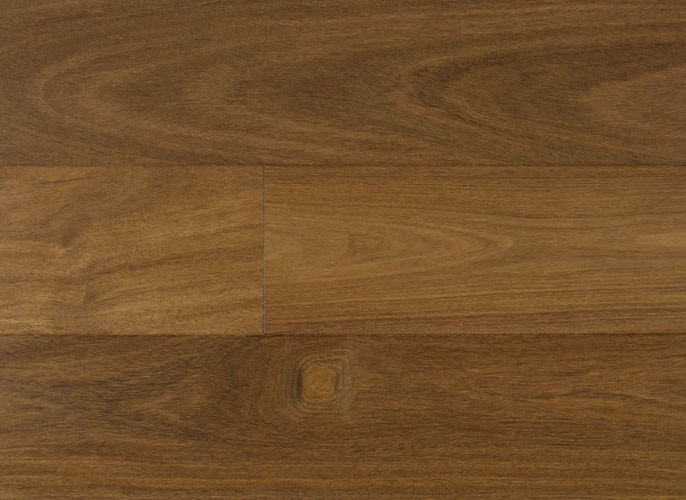 Brazilian Chestnut IPTRENGTC5