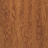 Gunstock1i5.jpg