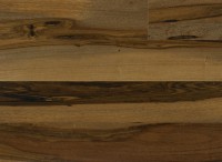 Brazilian Pecan IPTRENGMP5