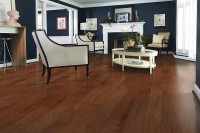 Hickory Warm Cherry WEC55-16
