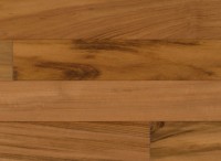 Tigerwood IPTRENGTW5