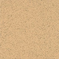 Coconino Sandstone 52184
