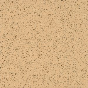 Coconino Sandstone 52184