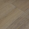 Newborough_Oak_1.jpg