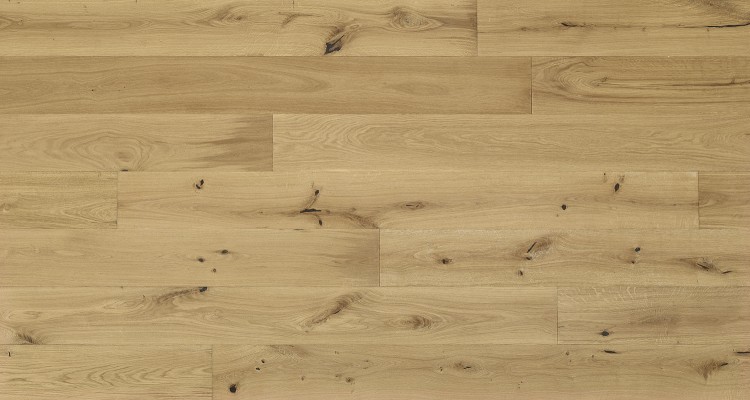 European Oak Vasto REW5875COVS