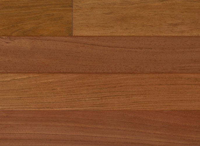 Brazilian Cherry IPPFBC21/4