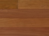 Brazilian Cherry IPPFBC3