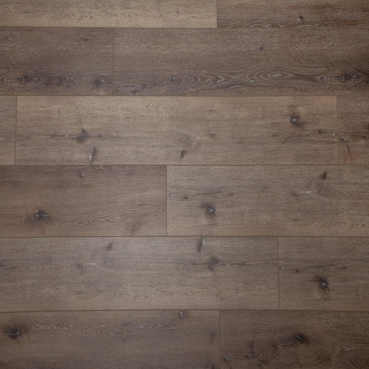 Haven.jpg Haven ETSS913