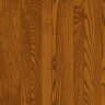 Gunstock15y.jpg