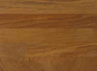 Brazilian Teak IPPFBT3