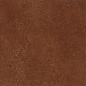 Buckskin Auburn TP744