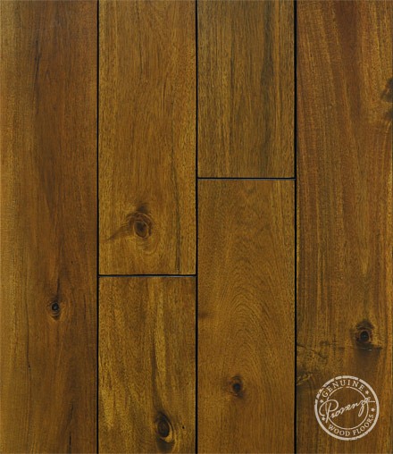 Siena 483