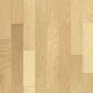 Maple Natural MCM241NAYZ