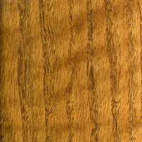 Gunstock Oak ZOA225FRGU