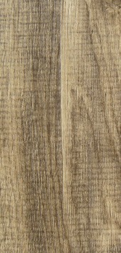 azalea.jpg Azalea TW9001